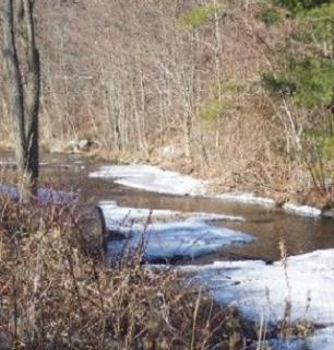 Pine Tree Brook in winter