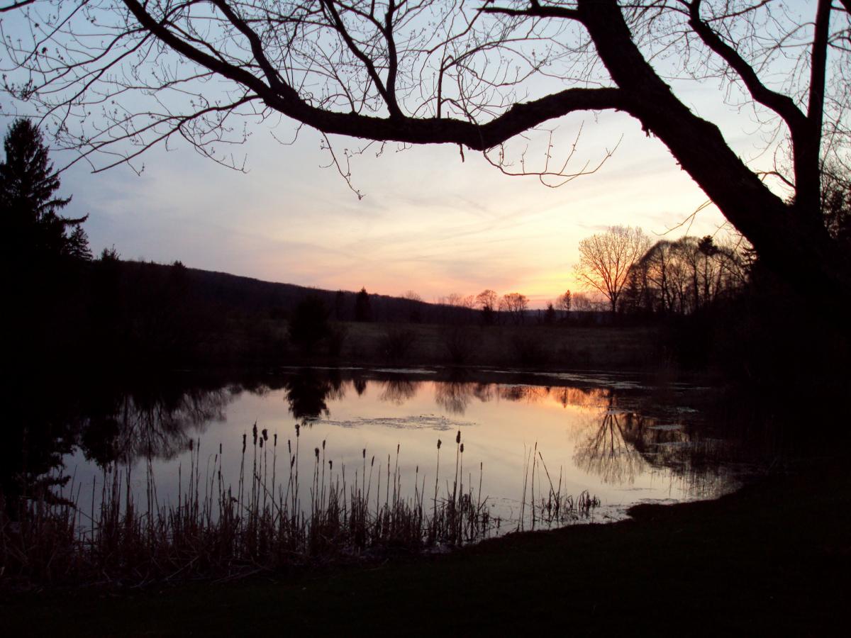 Pond at Sunset